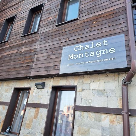 Chalet Montagne Bansko Apartment 外观 照片